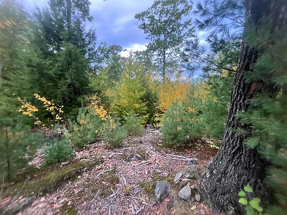 2nd image of LOT 41 Turtle Trail