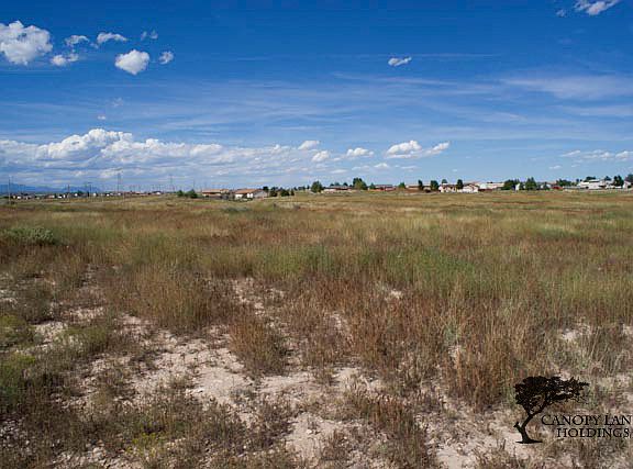 Center of Lot, Looking North
