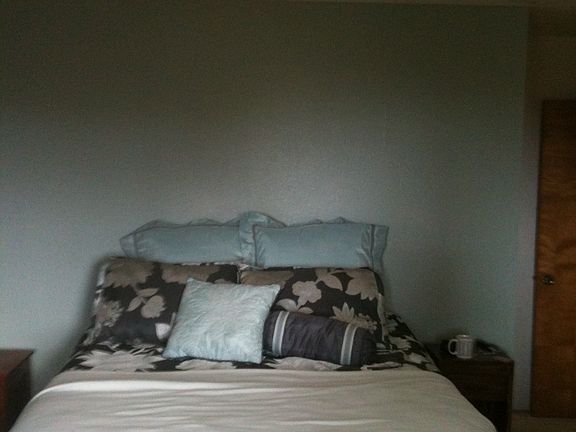 Master bedroom w/skylight