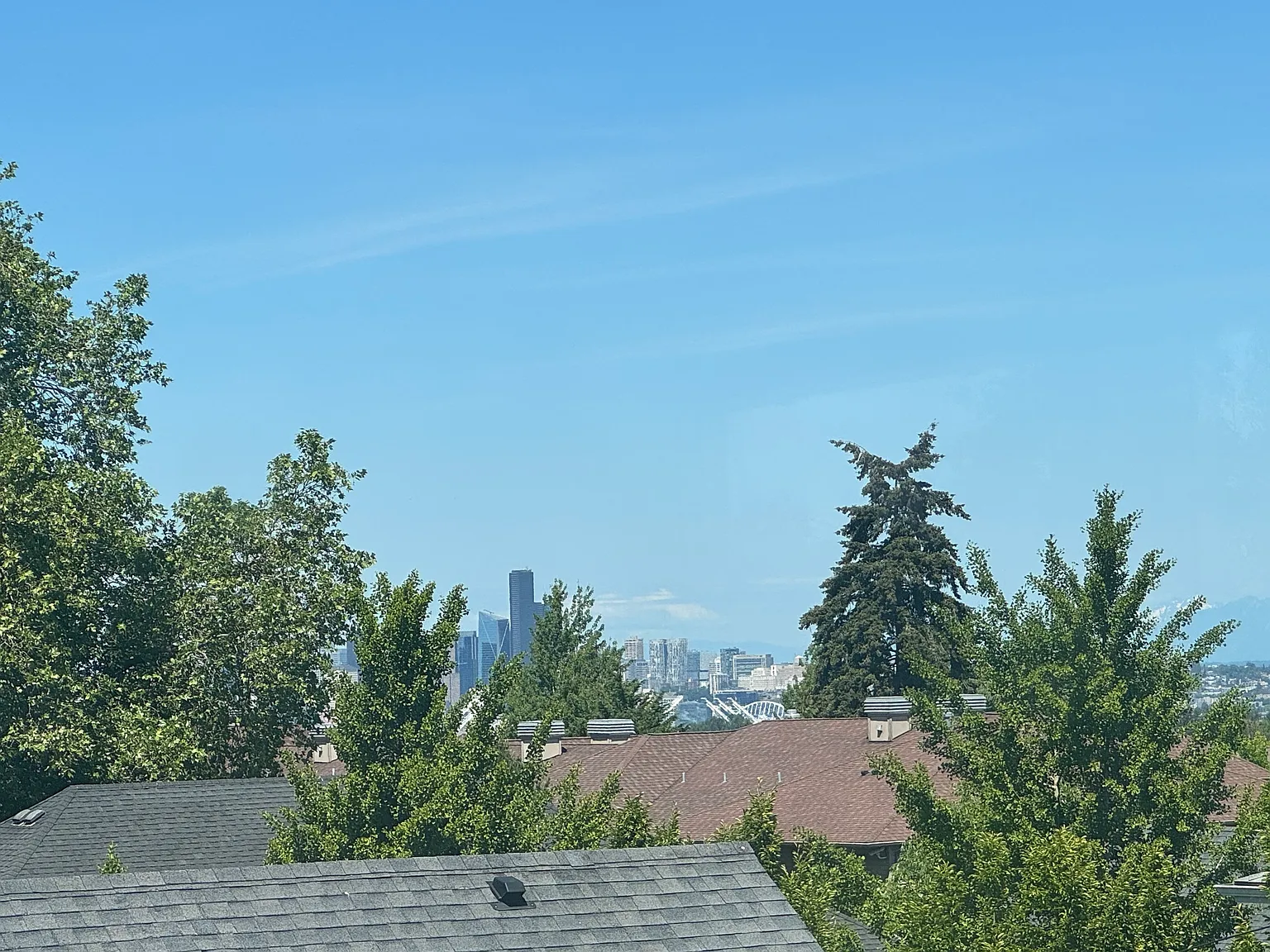 1 bed, 700 sqft, $1,450 — Photo 2