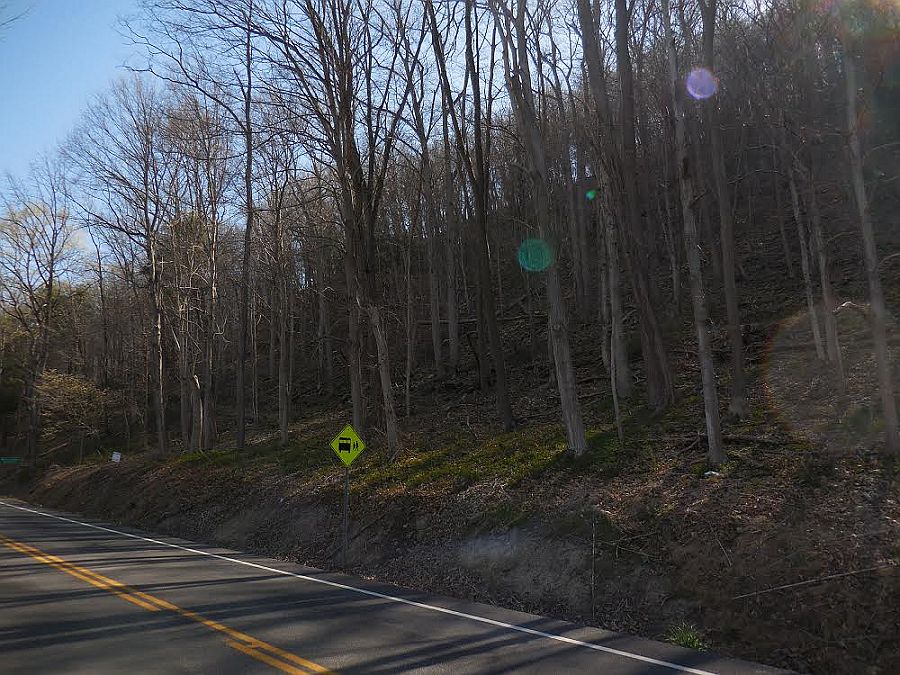 2nd image of Patterson Creek Road #Grant006