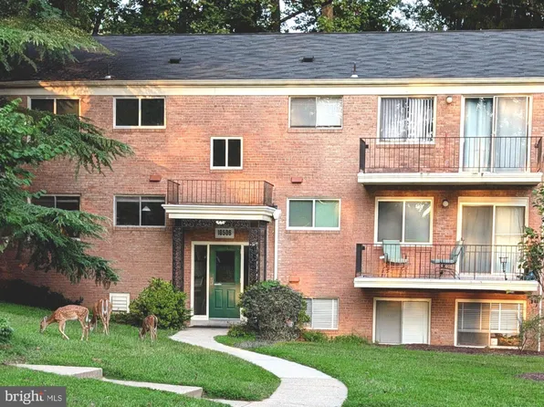 10506 Weymouth St APT 204, Bethesda, MD 20814