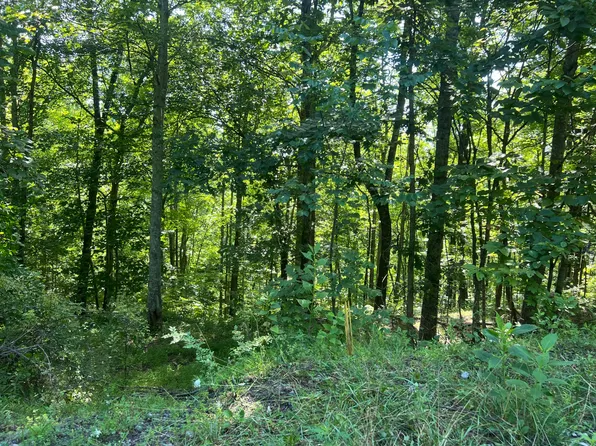 0 Mill Creek Rd, Pineville, KY 40977