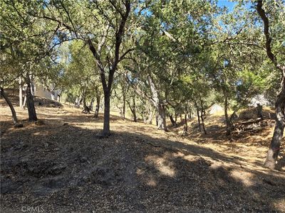 6525 Navarette Ave, Atascadero, CA, 93422