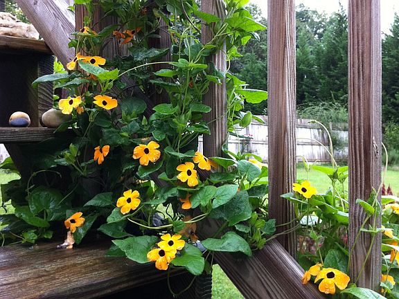 good soil for gardeners:)