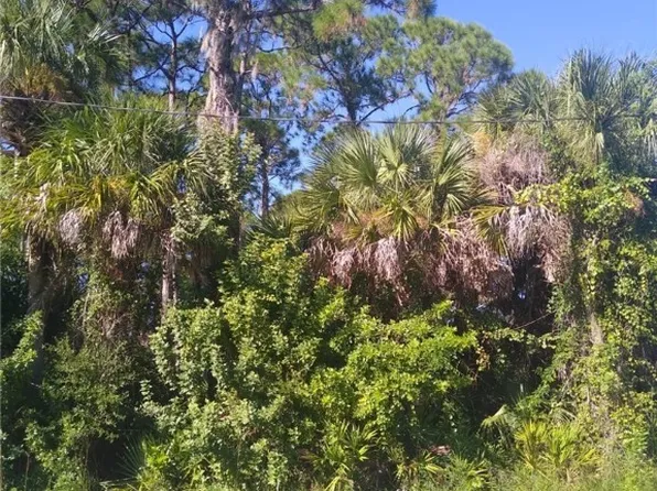 5409 Callaway St, Port Charlotte, FL 33981