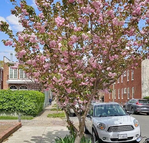 210 N Stafford Ave #29 — Photo 29