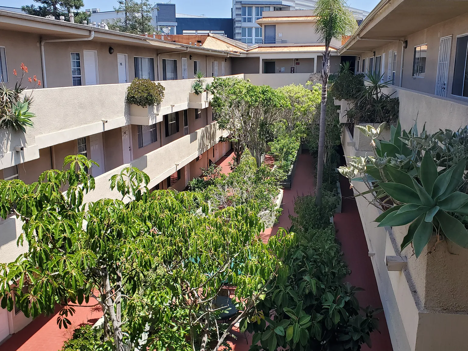 Coral Vista Apartments — Photo 2