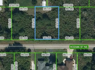 204 Kodiak St NE, Lake Placid, FL 33852