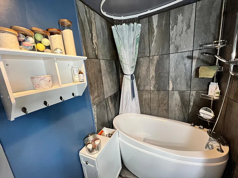 3803 Moss Rose Dr — Photo 10