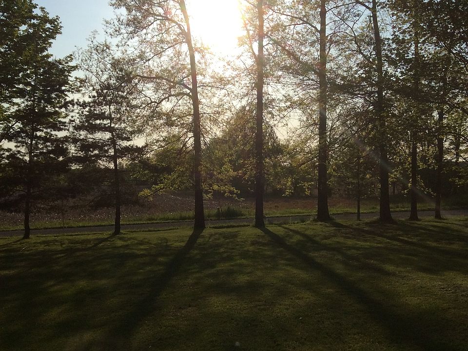 Sunset view from my yard