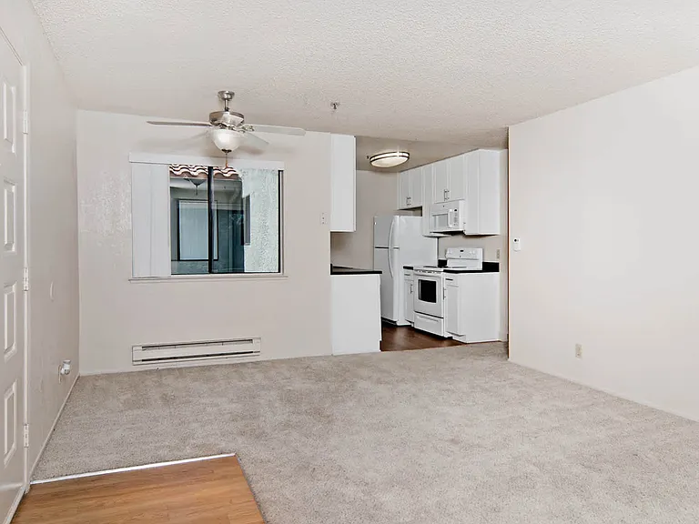 Carpeted Dining Room