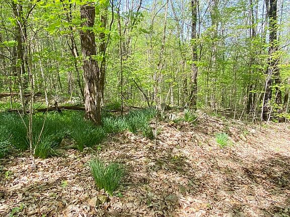 5th image of 0 Hensley Hollow Rd