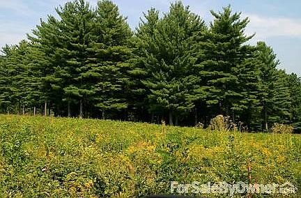 Cedar Ridge
						:
						Our community is nestled in the pines with gorgeous landscaping.