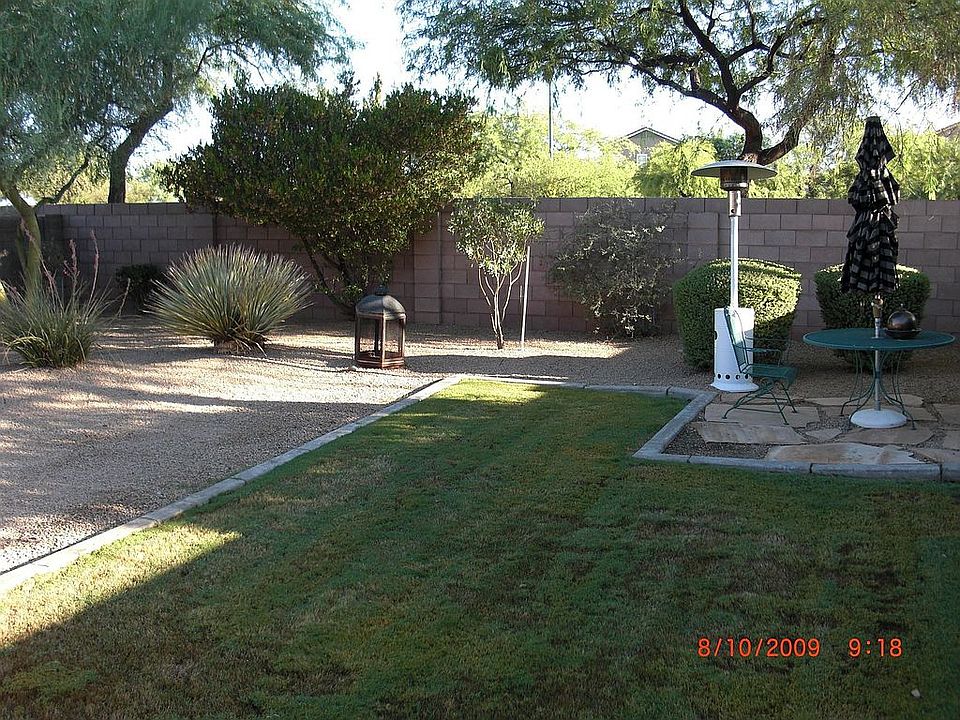 Back yard