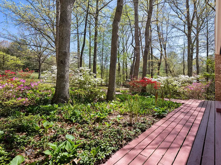 110 Sleepy Gap Rd — Photo 3