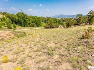 7921 Cozart Ln, Salida, CO 81201