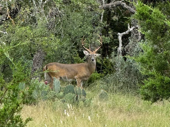 1636 Link, Doss, TX 78618