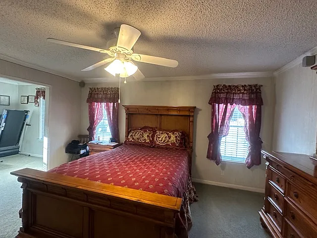 29 Mike Dr — Photo 18