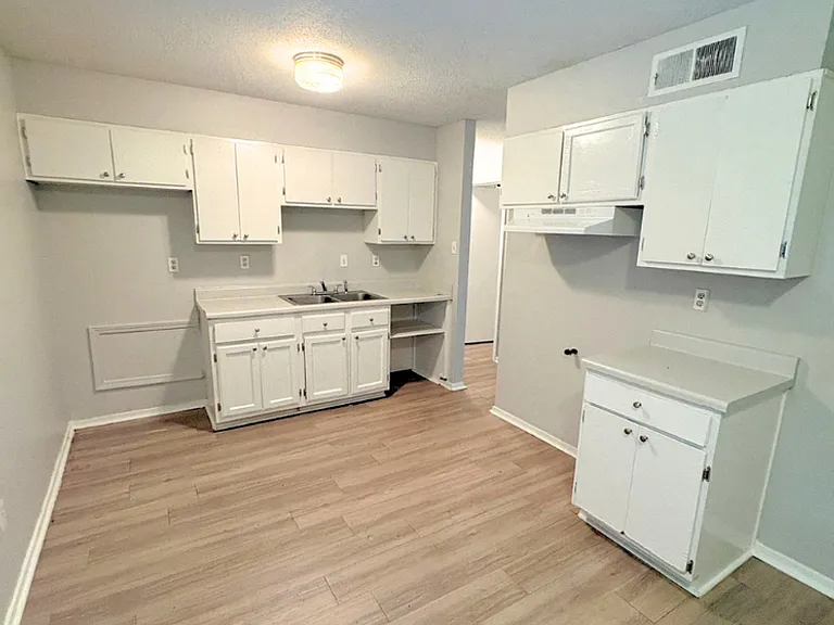 3666 Bluff Wood Dr — Photo 3