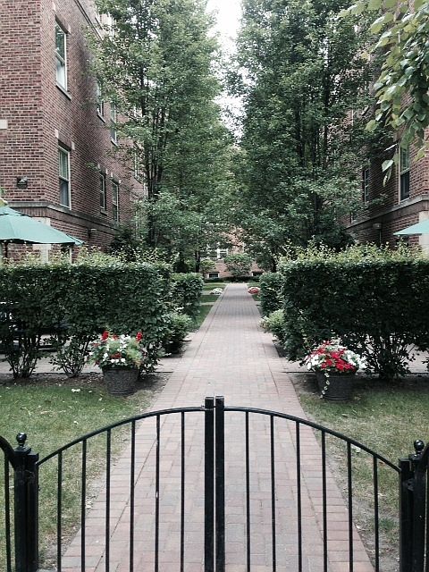 1st image of 219 N Oak Park Ave APT 3W