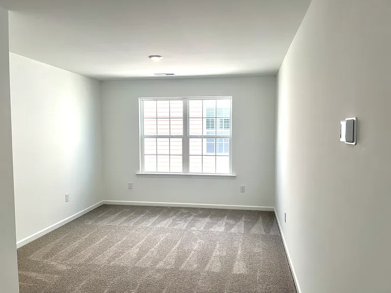 5260 Amaryllis Way — Photo 22