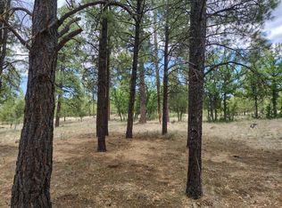 4579 Juniper Dr, Happy Jack, AZ 86024