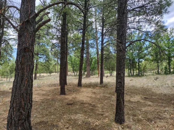 4579 Juniper Dr, Happy Jack, AZ 86024