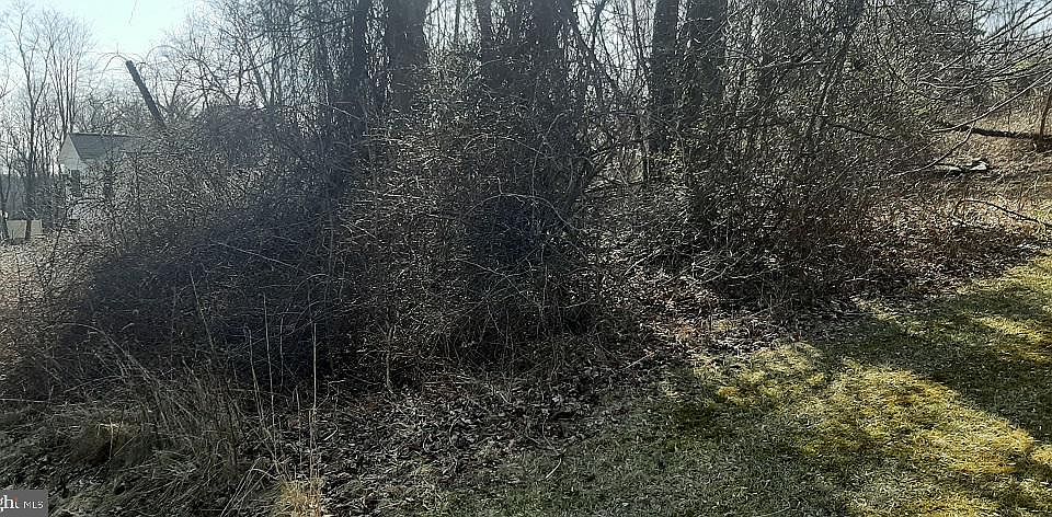 2nd image of 49 Meadow Lark Trl