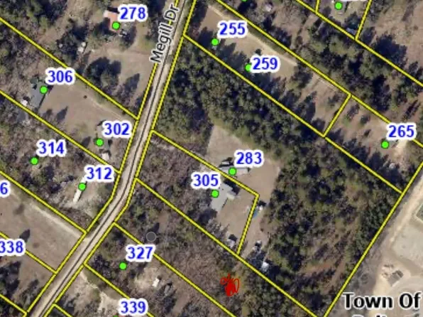 315 Megill Dr, Pelion, SC 29123