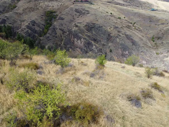 0 Mountain View Rd, White Bird, ID 83554