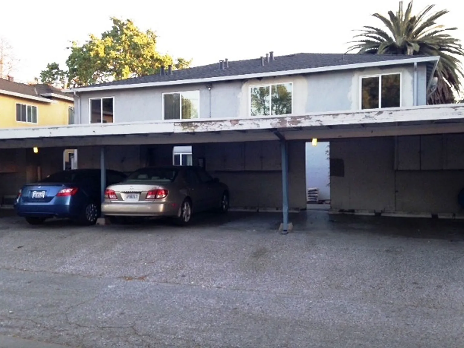 9003 - Park, Mountain View — Photo 3