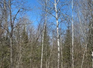 Near Meister Stockley Rd Tract 8422, Rhinelander, WI 54501