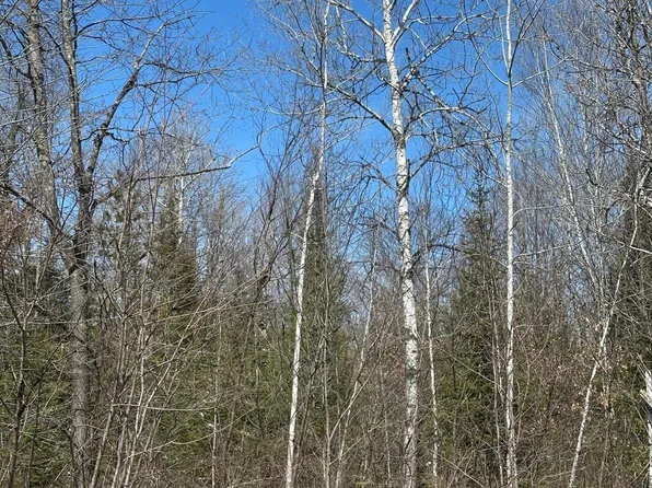 Near Meister Stockley Rd Tract 8422, Rhinelander, WI 54501