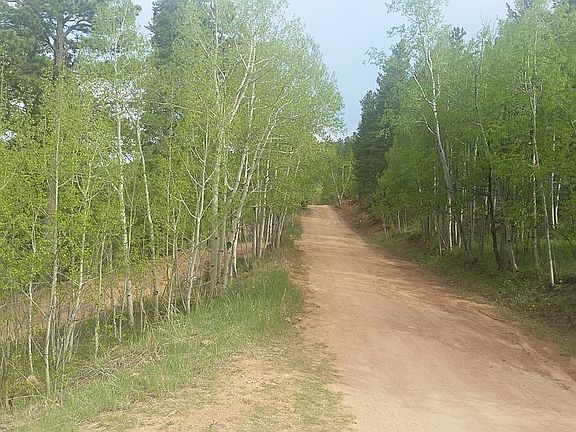 Tree lined road to property
