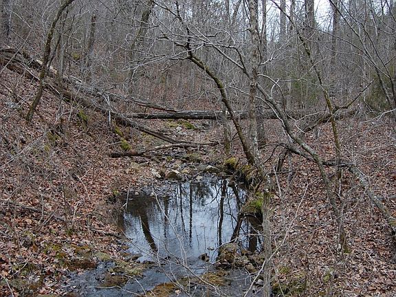 2nd image of 5927 Marion County 6064
