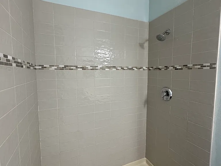 new master bathroom shower