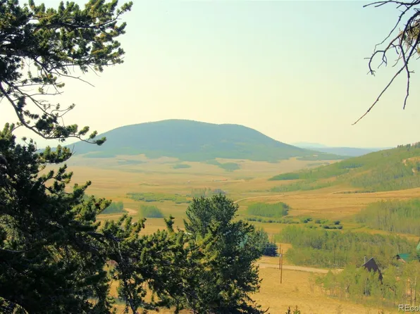 3538 High Creek Rd, Fairplay, CO 80440