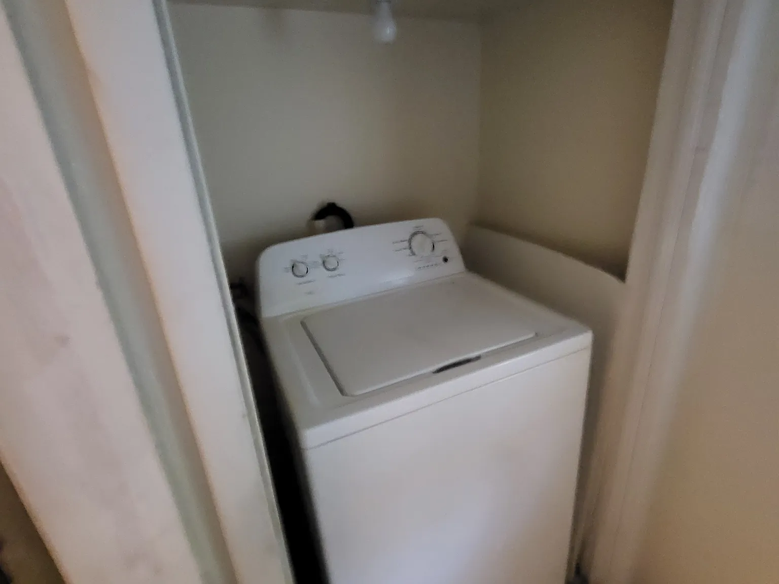 1 bed, $1,450 — Photo 3