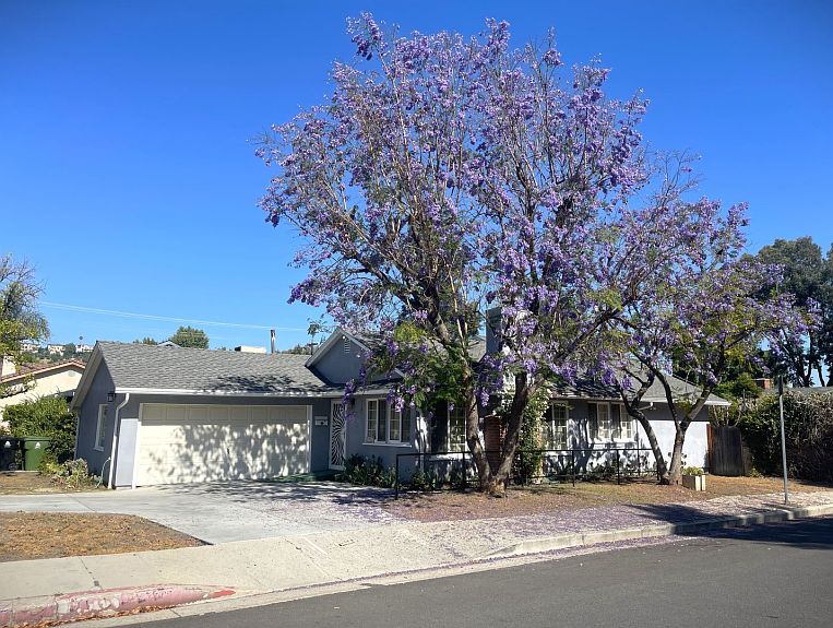 1st image of 21901 San Miguel St