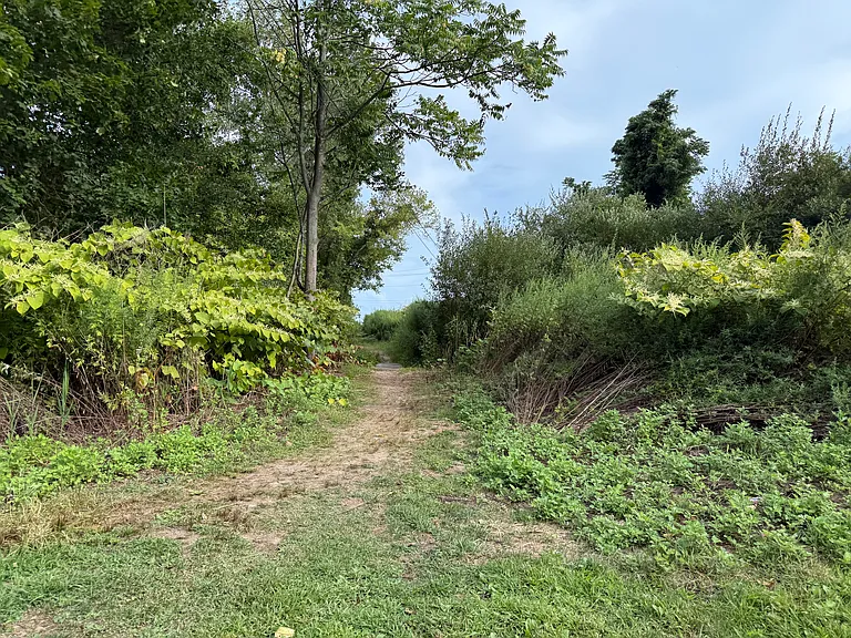 Neighborhood path one block away goes directly into Silver Sands State Park and beach area