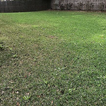Lg shady flat bk yard 