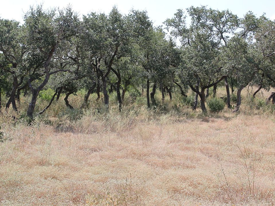1st image of TBD Stone Loop LOT 25
