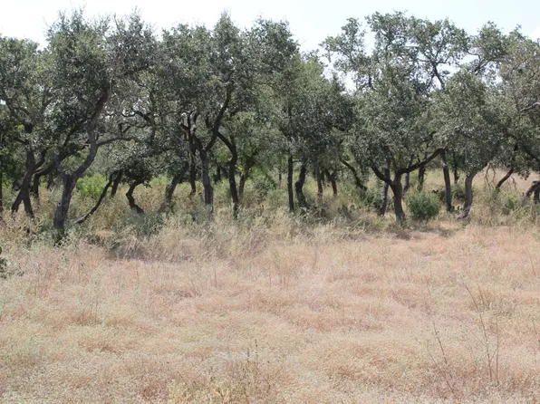 TBD Stone Loop LOT 25, Castroville, TX 78009