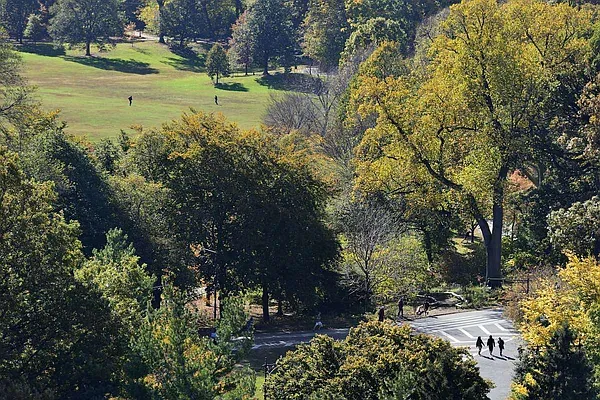 Rented by Meridian Properties | media 24