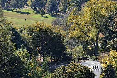 Rented by Meridian Properties