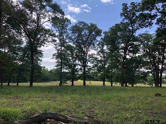 2nd image of 18358 Timber Oaks Dr Lot 2