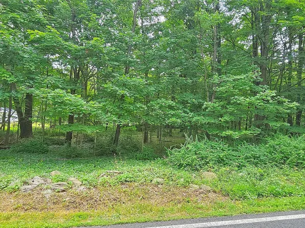 South Plank Road, Westtown, NY 10998