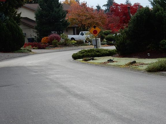 5th image of 15217 42nd Ave E
