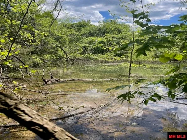 290 Mc #8124, Peel, AR 72668